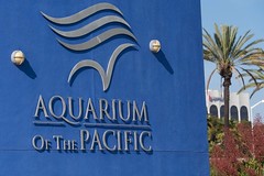 Long Beach & The Aquarium of the Pacific