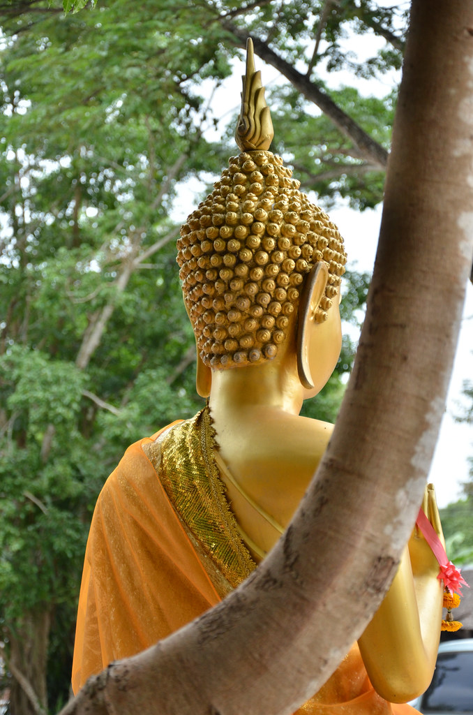 Banyan Tree Temple (Wat Bang Kung)