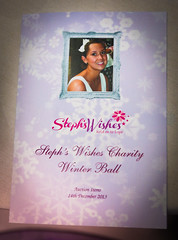 Steph's Wishes Winter Ball 2013