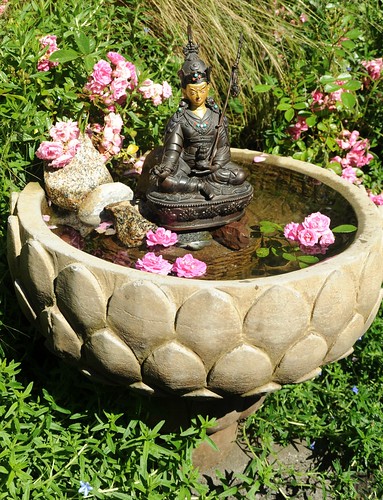 Blessed statue of Padmasambhava, surrounded by pink roses, in a lotus fountain, stones, A Garden for the Buddha, Seattle, Washington, USA by Wonderlane