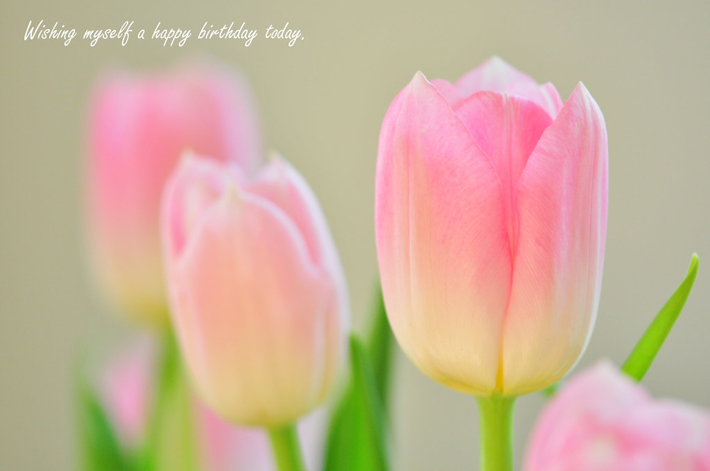 Wishing myself a happy birthday today!