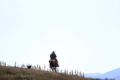 Cowboy Country by Megan Lorenz