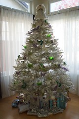 			Klaus Naujok posted a photo:	Shots of our Christmas Tree. It was bit difficult because he is all white against the white background and incoming light. The night shot is a bit better.