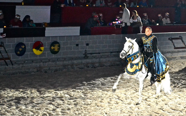 horse performances at Medieval Times Orlando Florida 