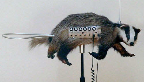 Badger Theremin or Badgermin