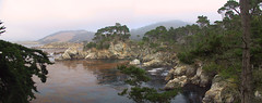 Pt. Lobos, Monterey, Ca. 