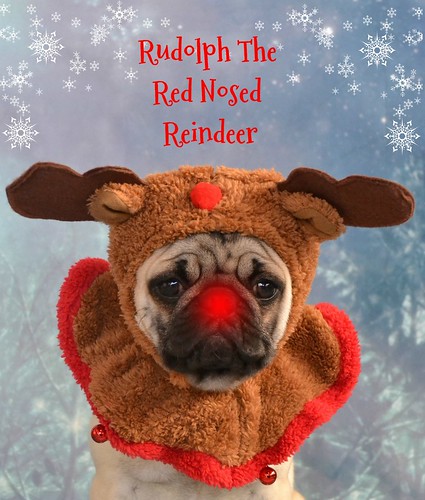 Rudolph The Red Nosed Reindeer Pug