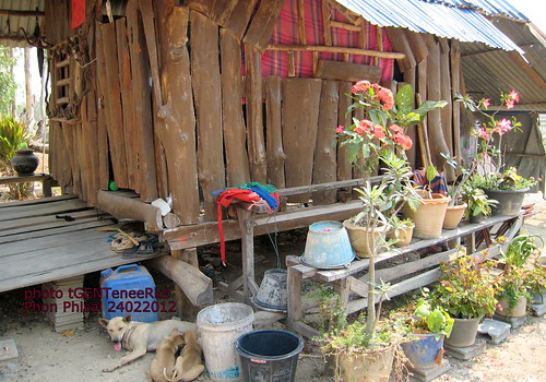 Farm in Nong Bua Lam Pu 8 by tGenteneeRke along the Mekong river