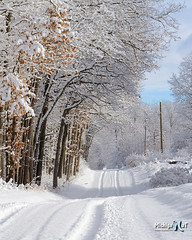 Winter in Rural Michigan, Montcalm County by Michigan Nut