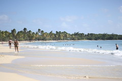 Strand Salines - Martinique, Karibik