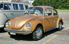 Volkswagen Classic 1967 - 75