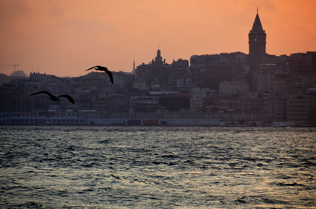 Atardecer con gaviotas frente al Bósforo y la torre Gala de Estambul