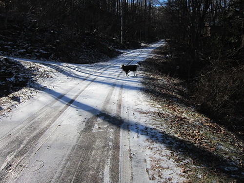 凍結しているところもあるので注意して歩きます　2013.11.30 by Poran111