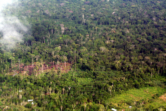 去森林化增加了瘧疾發生的機會。圖片作者：Brodie Ferguson，圖片來源：http://www.flickr.com/photos/38174517@N03/3516404043，本圖符合CC授權使用。