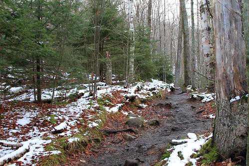 black muddy trail