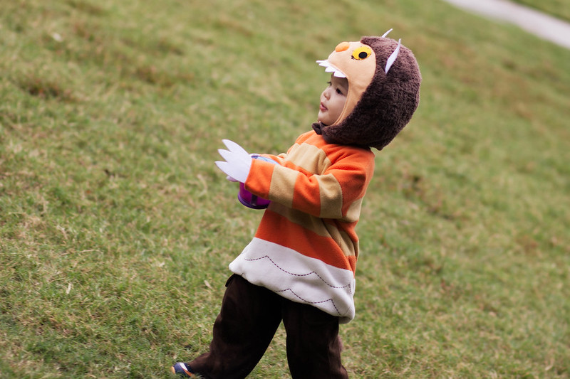 cute & little blog | halloween 2013 | dylan 16 months | where the wild things are monster costume
