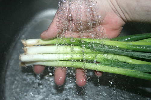 15 - Frühlingszwiebeln waschen / Wash spring onions