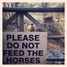 Please do not feed the Horses