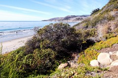 2014- California coast