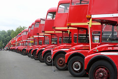 Buses - Routemaster 60 Event, 13/07/14