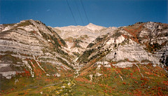 Utah - 1993 & 1994