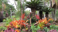 Maui Tropical Plantation - 2015