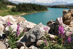 Canada/Alaska 2013