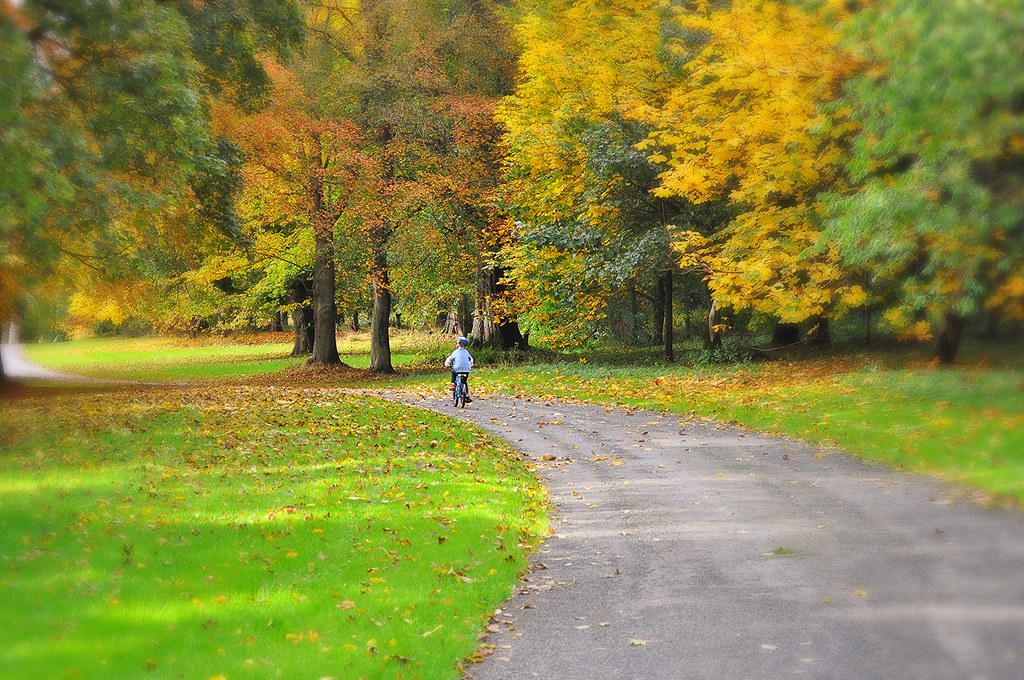 Autumn Family bike ride in Scotland