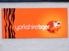 Yorkshire Tiger