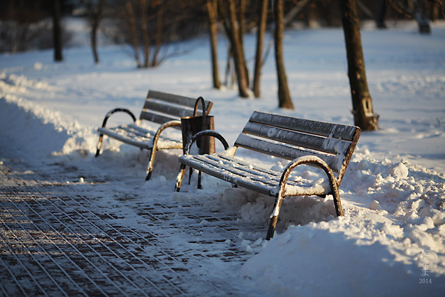 Benches_in_the_winter_2014(01)