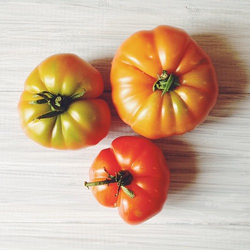 #eatfoodphotos Jan 23 | #natural - home grown tomatoes gifted by a neighbour #vsco #vscocam