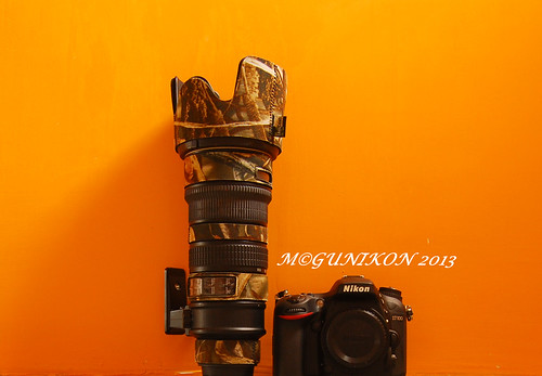 New Gear - D7100 + Lenscoat by McGun
