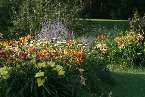 front yard garden