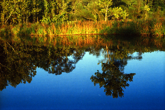 Beaver Pond Color