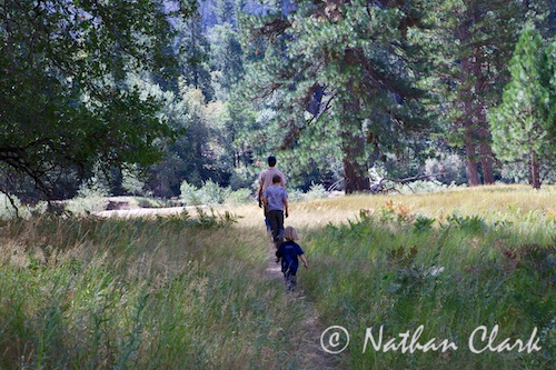 Taking a Walk in Yosemite Valley