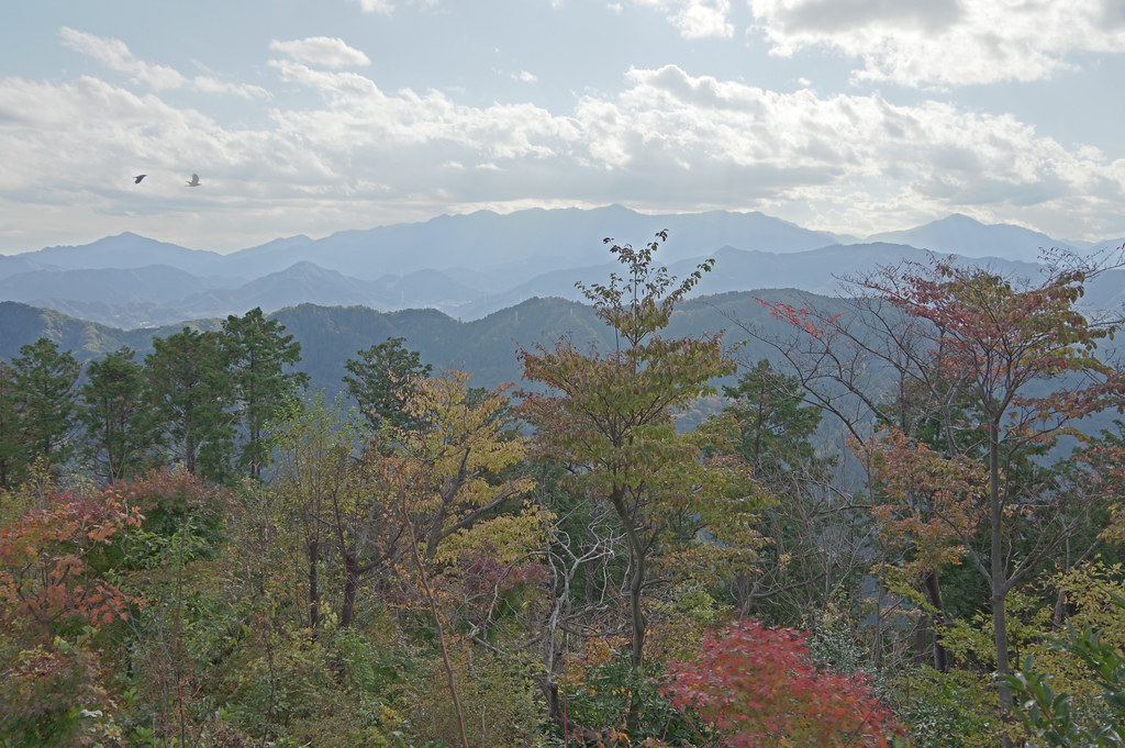 13 Nov 2013 : Mt. Takao photo (HDR testshot)