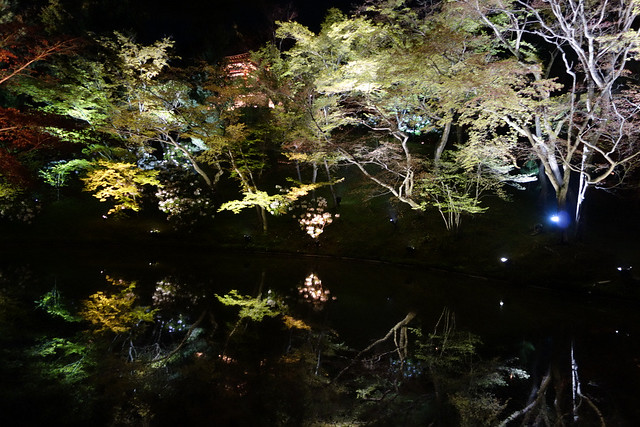 京都春の夜間拝観