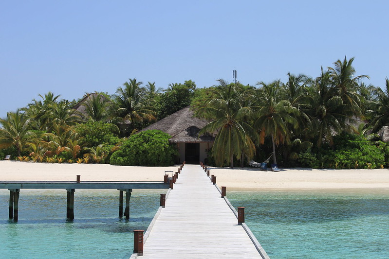 Maldivas Inolvidable - Blogs de Maldivas - Mirihi La Isla (12)