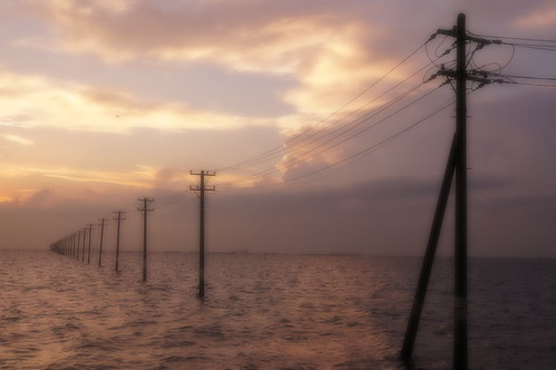Soft Focus Low utility poles into the sea 12