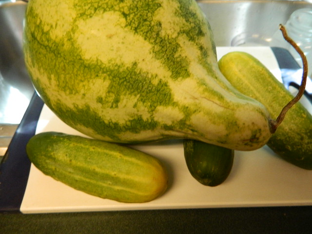 Watermelon and Cukes