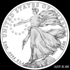 2014 American Eagle Platinum design AEP_R_08