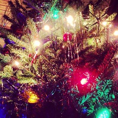 Christmas trees, lights, ornaments, and decorations