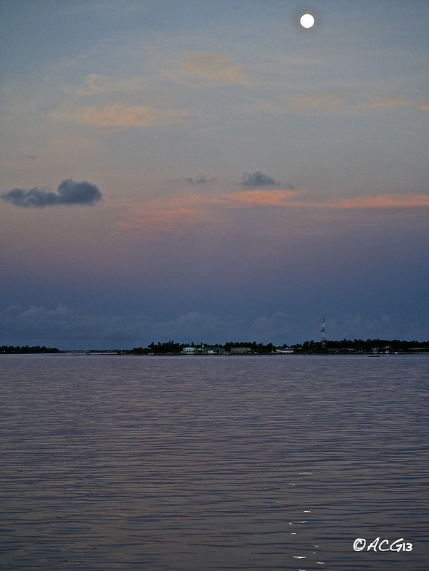 ¡Maldivian Dream! - Blogs de Maldivas - 7 días de crucero buceando en  los mejores puntos del pais. 7 días inmejorables (73)