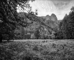Yosemite on Film