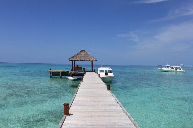 Maldivas Inolvidable - Blogs de Maldivas - Mirihi La Isla (15)