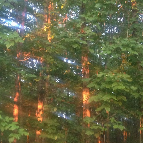 A gift of sunlight filtering through the trees as I leave this morning. #HisMerciesAreNew #SmallGroupDay