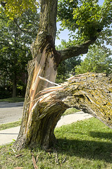 2013 Storm in Guelph