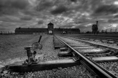 Auschwitz...Voyage au Bout de l'Enfer.