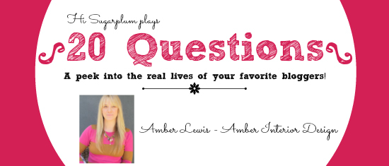 20 questions Amber