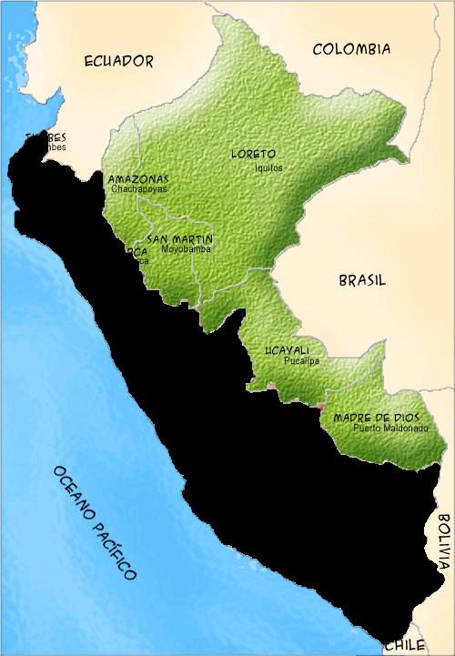 selva-peruana (1)